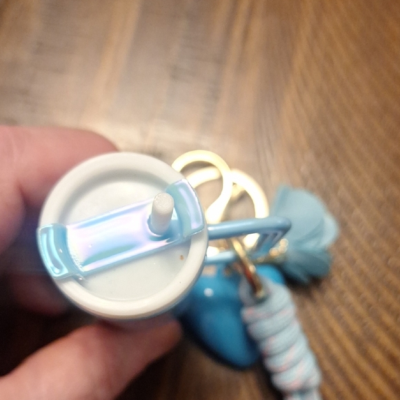 Iridescent Keychain Bag Charm with Blue "Stanley" Like Charm - Picture 5 of 8